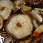 Champignon Shitake Bio