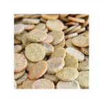 Croustilles des papilles Bio (100g)