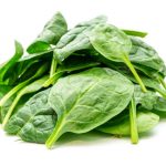 Epinards (feuilles) Bio