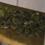 Graines de courge d'Europe Bio Vrac