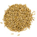 Epeautre décortiqué Bio Vrac