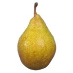 Poire Xenia